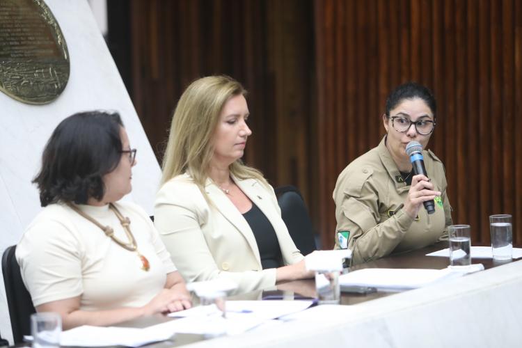 Audiência Pública - O USO DOS CIGARROS ELETRÔNICOS POR CRIANÇAS E ADOLESCENTES NO ESTADO DO PARANÁ