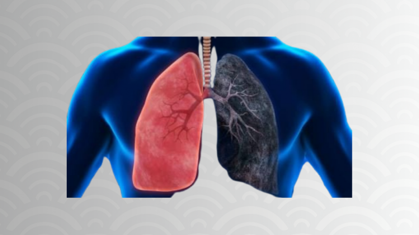 Dia mundial de combate à tuberculose